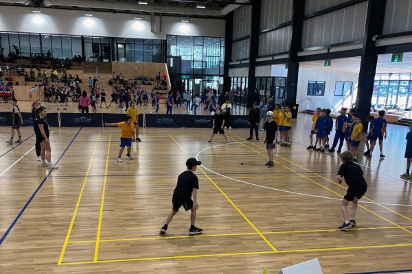 Preshil-Downball-2024-04 Preshil-Downball-2024-04