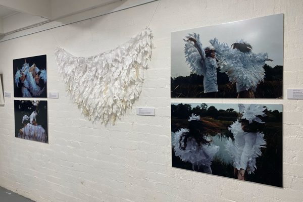 Preshil-IBDP-Arts-Exhibition-05