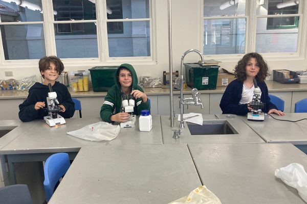 Microscopists 1
