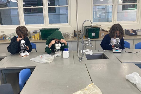 Microscopists in action