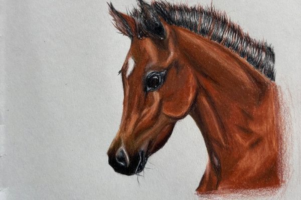 Wassana Drawing 1 - Emma Borland 1