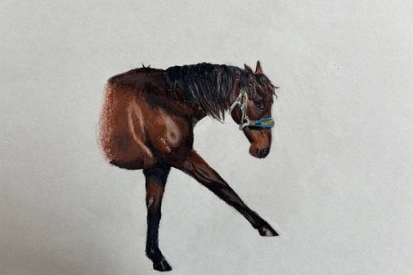 Wassana Drawing 2 - Emma Borland 1