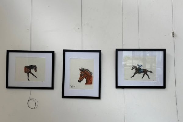 Wassana Framed - Emma Borland 1
